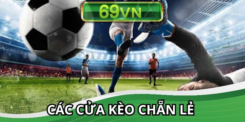 Thể loại cược với nhiều cửa đa dạng cho người chơi