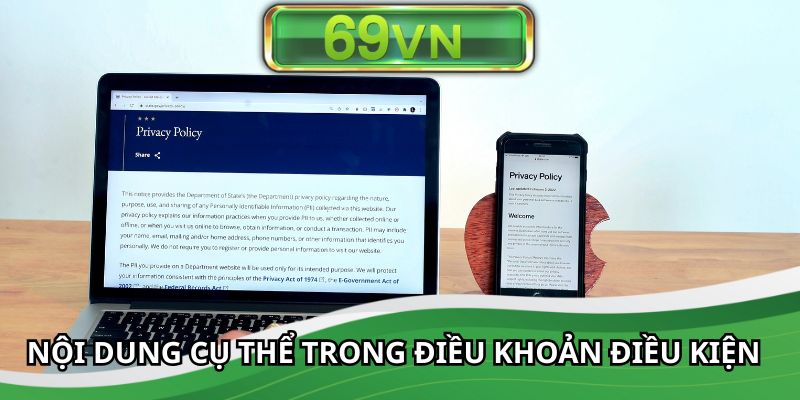 Nội dung cụ thể trong điều khoản điều kiện