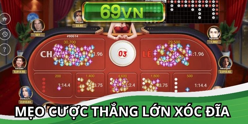 Các mẹo cược thắng lớn dành cho tân thủ tham gia